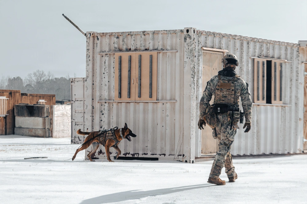 WDA handler and working dog clearing a snow-covered container facility during a live training scenario